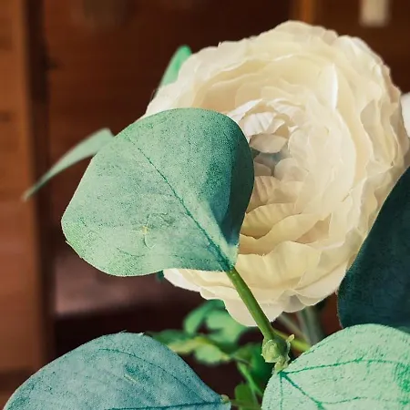 Sielankowo Holiday home *