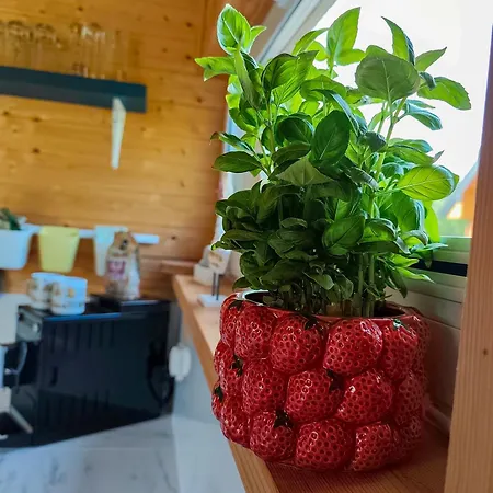 Prázdninový dům Sielankowo Odargowo