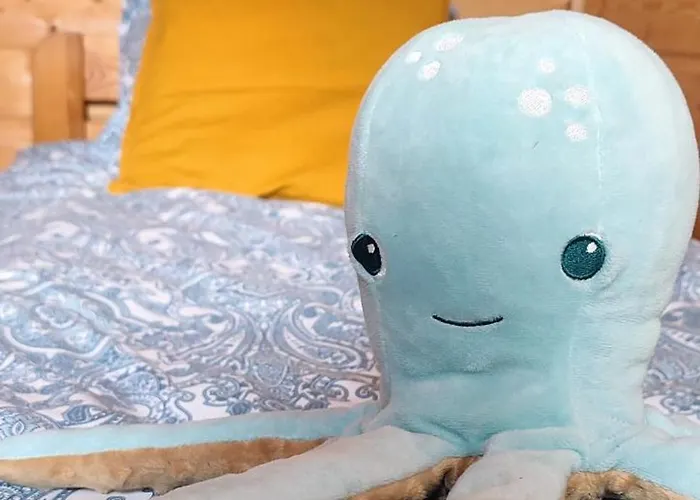 Semesterbostad Sielankowo *